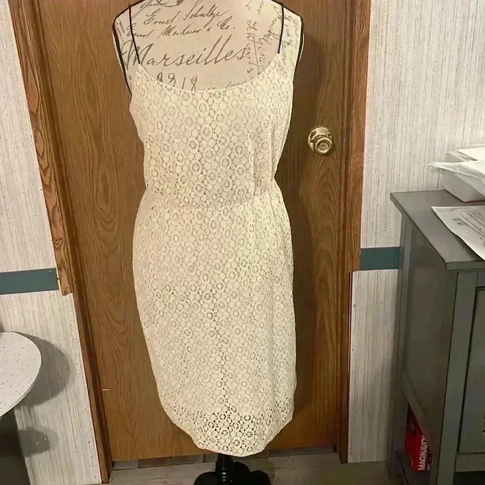 NWT J. Crews Dress